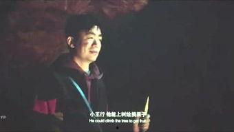 宁哥影视爆料大全最新版,揭秘娱乐圈最新动态与幕后故事 第1张 宁哥影视爆料大全最新版,揭秘娱乐圈最新动态与幕后故事 第1张